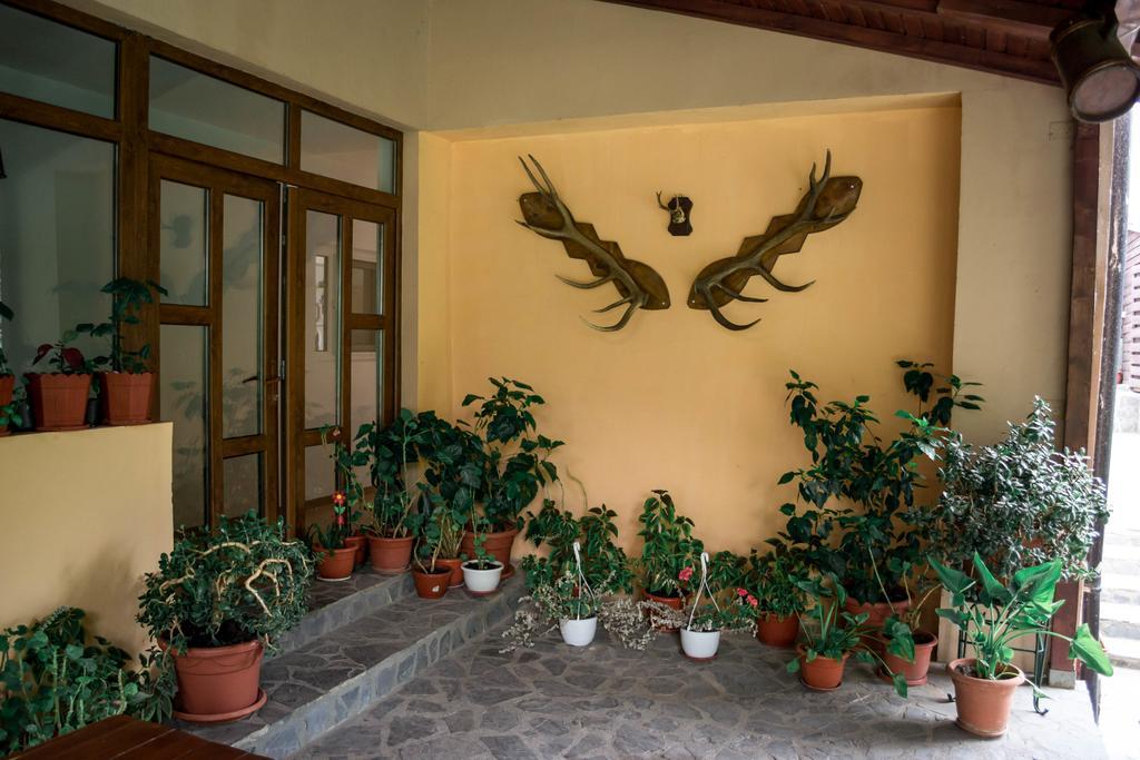 Pensiunea Bujorul Comana Bagian luar foto
